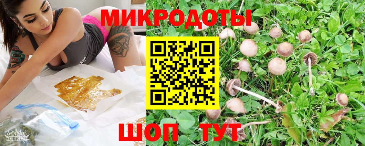 купить  сайты  Псилоцибиновые грибы MAGIC MUSHROOMS  Вход с VPN  Псилоцибиновые грибы GOLDEN TEACHER  Тимашёвск 