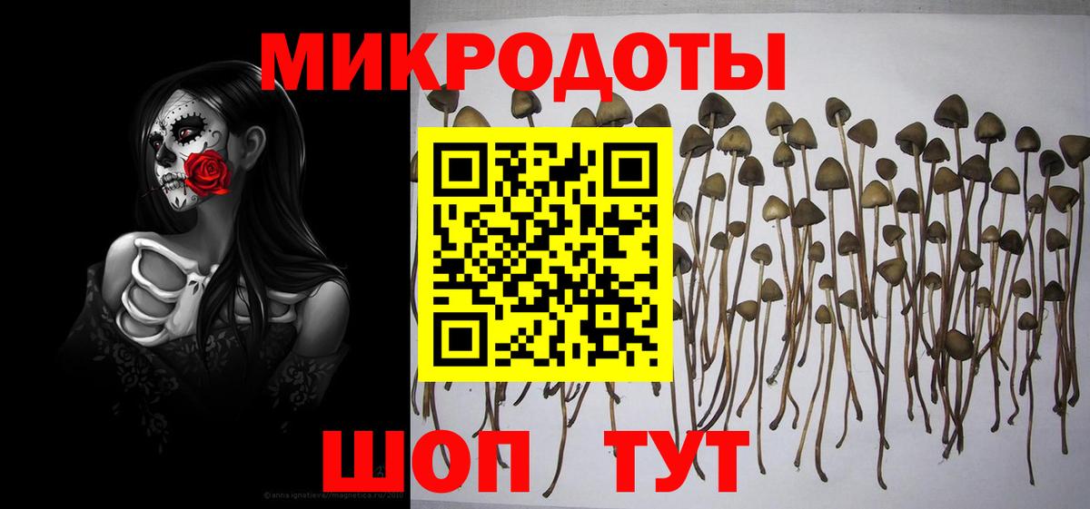 Псилоцибиновые грибы Magic Shrooms Тимашёвск